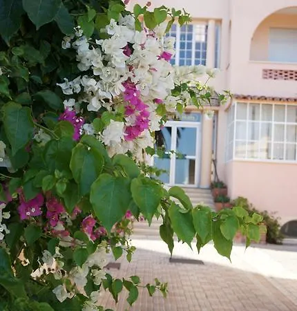 Apartamento Studio Grand Palais *